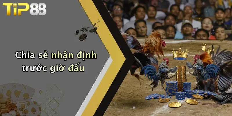 Chia sẻ nhận định trước giờ đấu