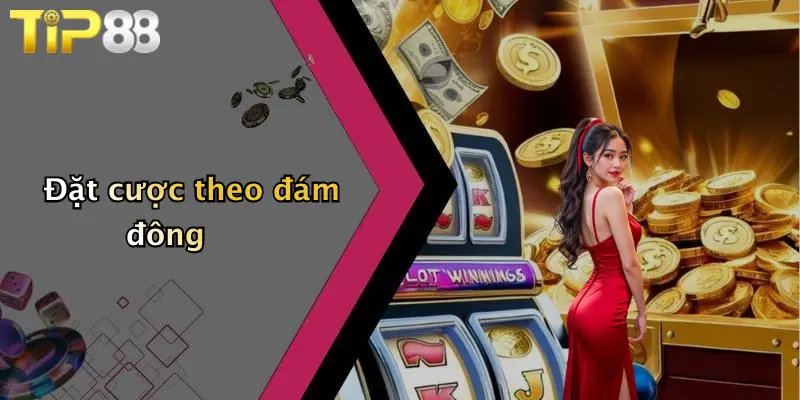 Đặt cược theo đám đông