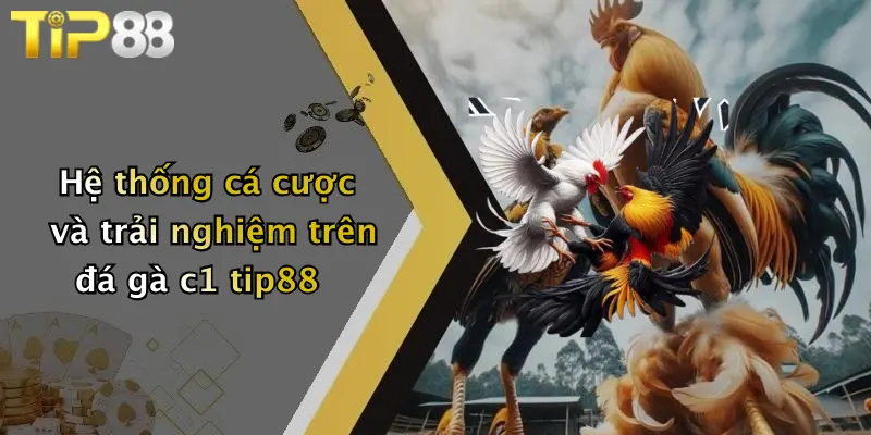 Hệ thống cá cược và trải nghiệm trên đá gà c1 tip88