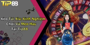 Kèo Tài Xỉu: Kinh Nghiệm Chơi Và Mẹo Hay Tại Tip88