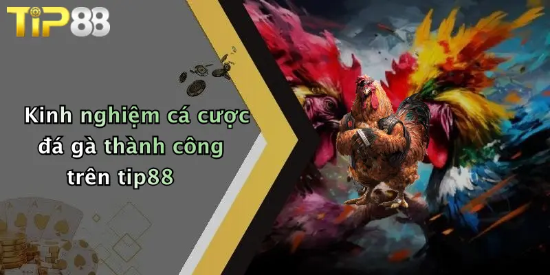 Kinh nghiệm cá cược đá gà thành công trên tip88