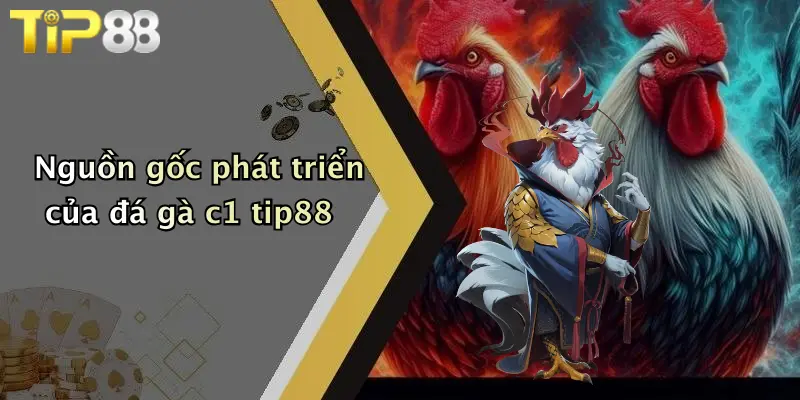 Nguồn gốc phát triển của đá gà c1 tip88