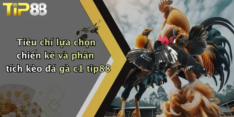 Tiêu chí lựa chọn chiến kê và phân tích kèo đá gà c1 tip88