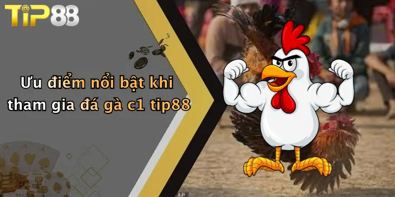 Ưu điểm nổi bật khi tham gia đá gà c1 tip88